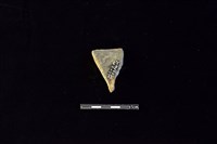 陶片藏品圖，第2張